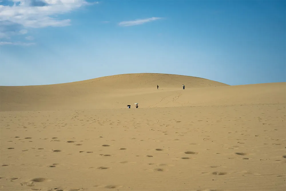 「砂丘」といっても想像以上のスケール感